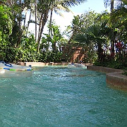 Picture 120